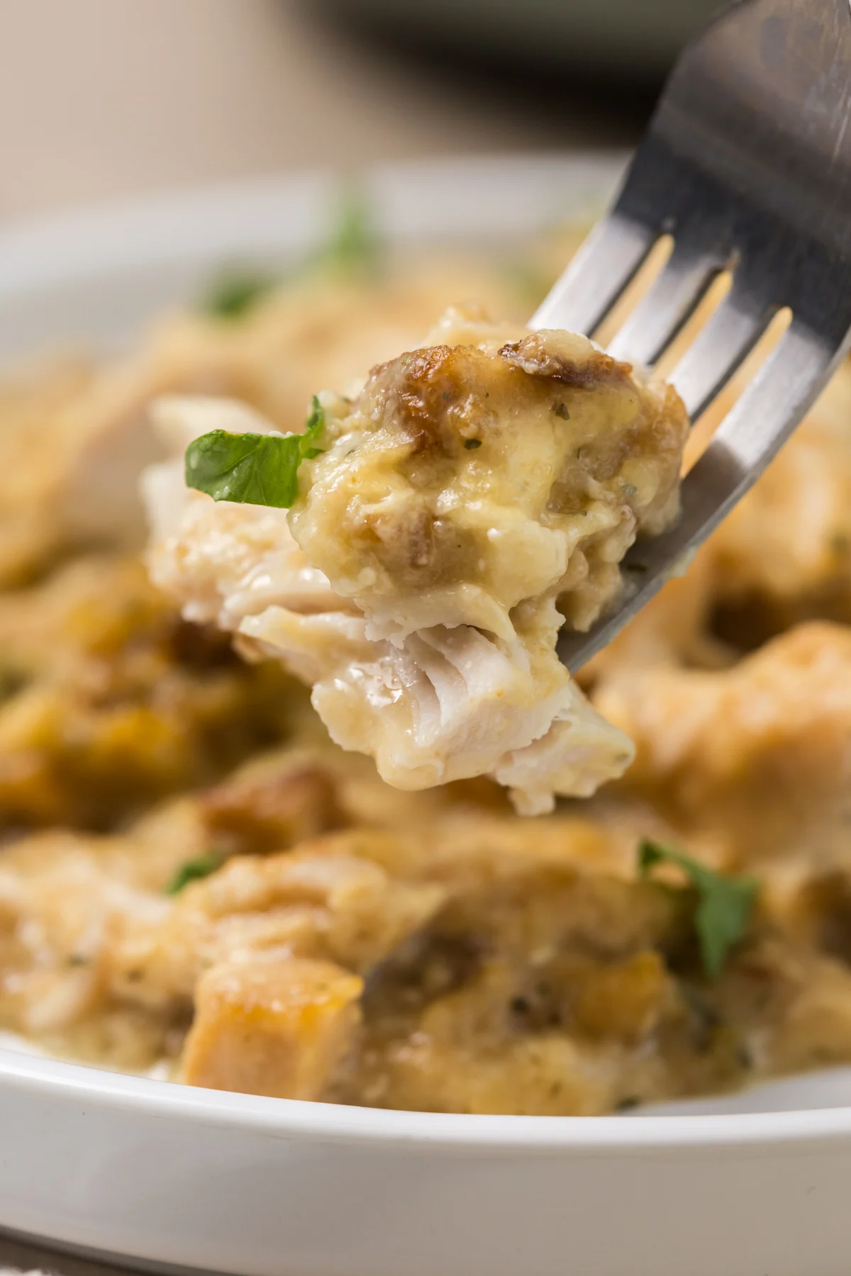 Crock Pot Turkey and Stuffing Casserole