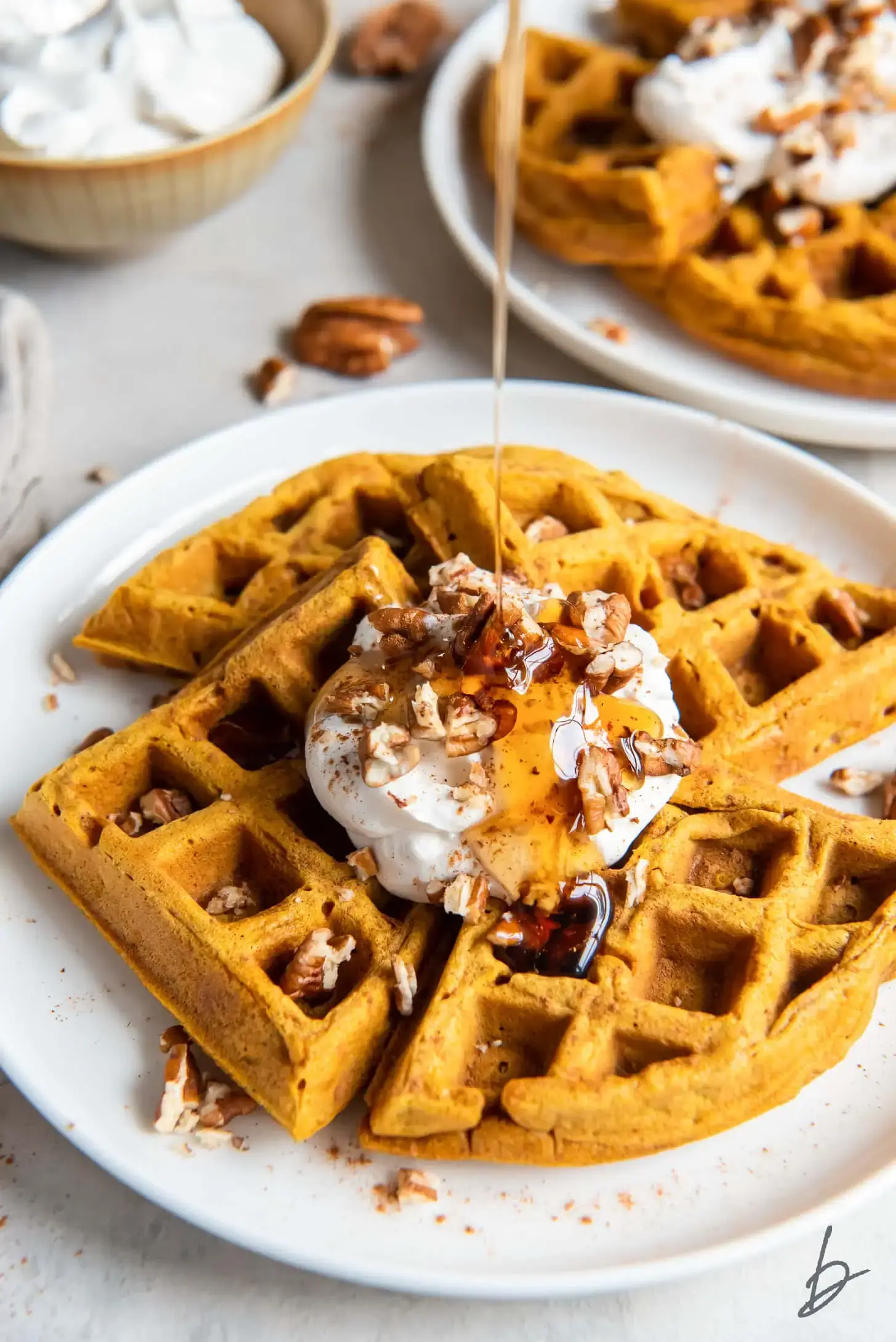 Easy Pumpkin Waffles