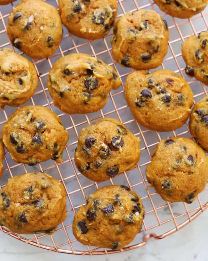 Simple Chocolate Chip Pumpkin Cookies