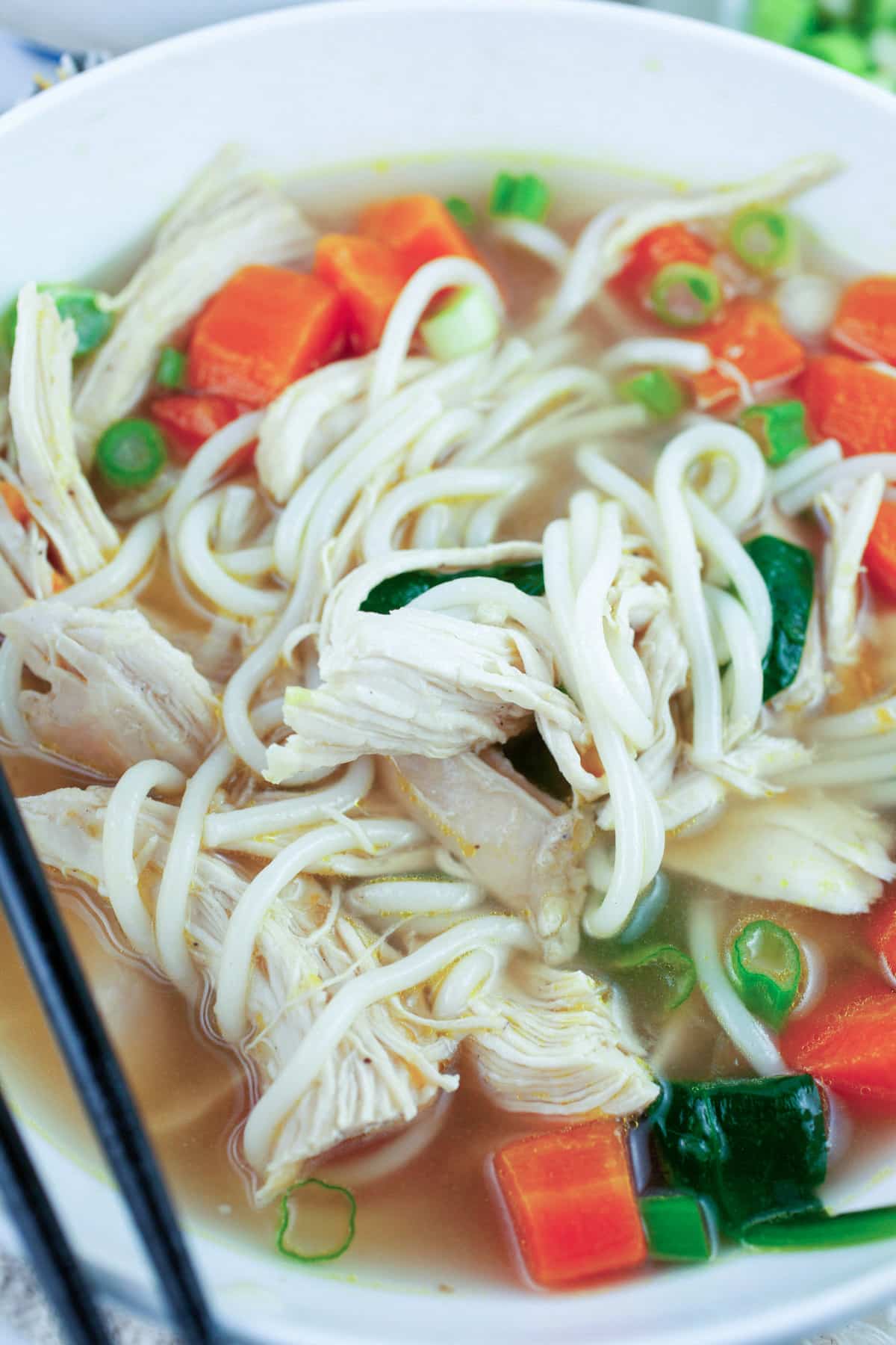 Asian Chicken Noodle Soup