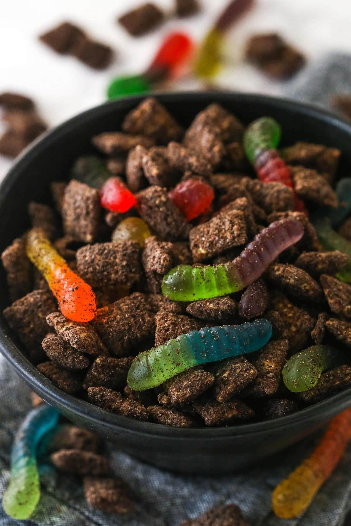 Dirt And Worms Puppy Chow