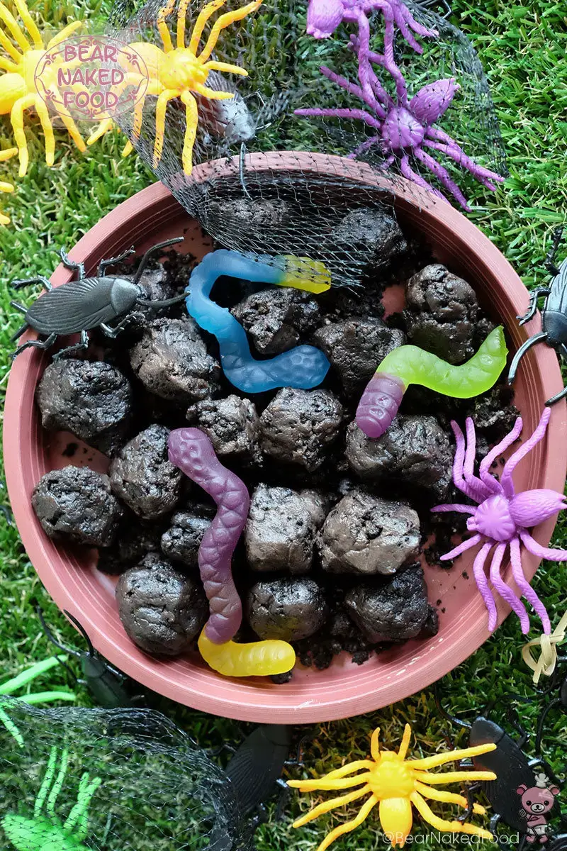Dirt Balls With Worms
