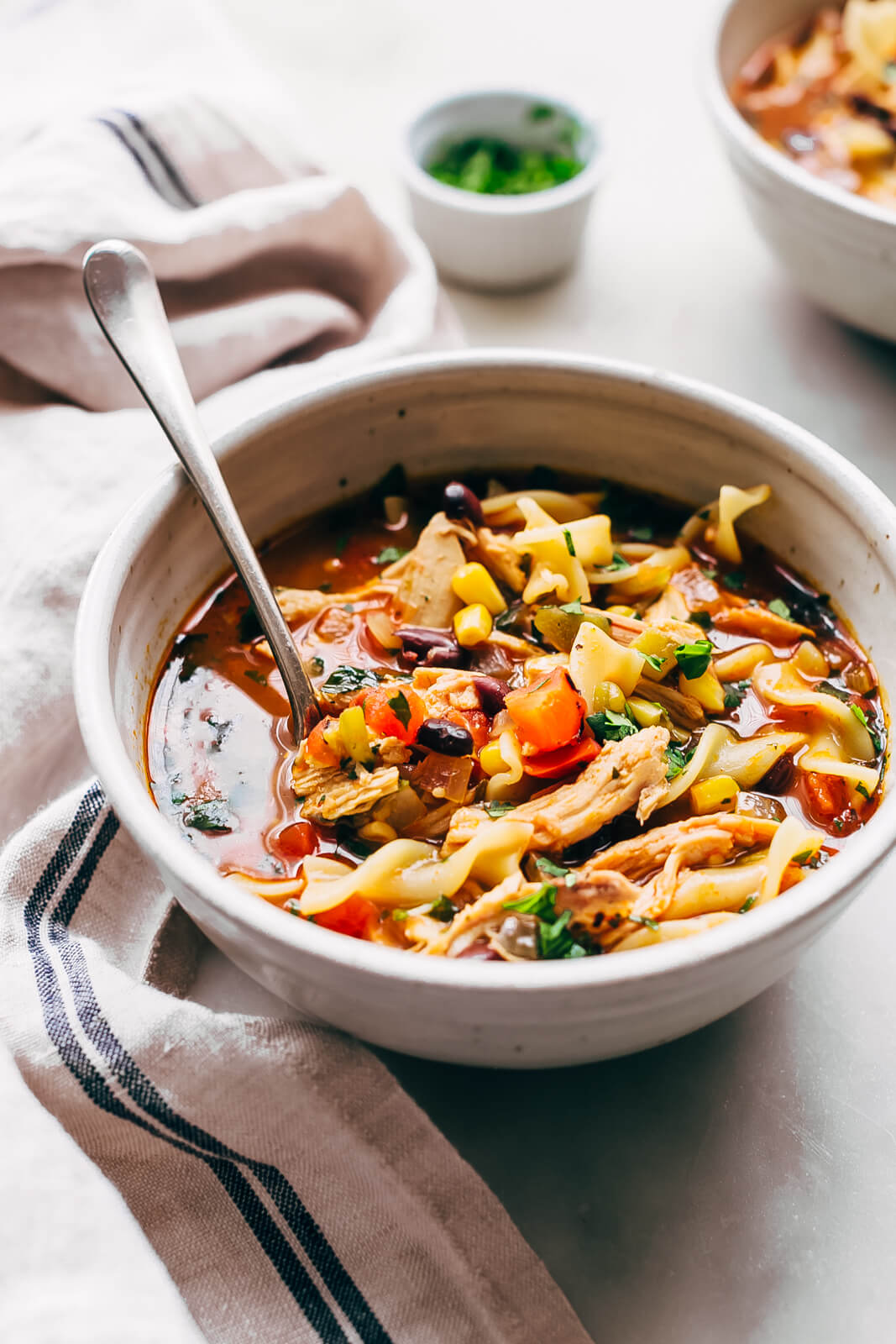 Mexican Chicken Noodle Soup