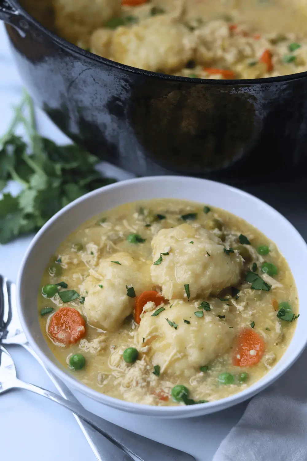 Sourdough Chicken and Dumplings Soup