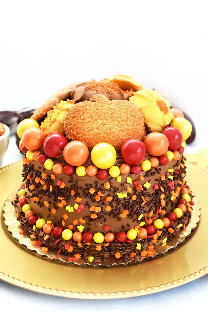 Easy Thanksgiving Cake Decorating Ideas