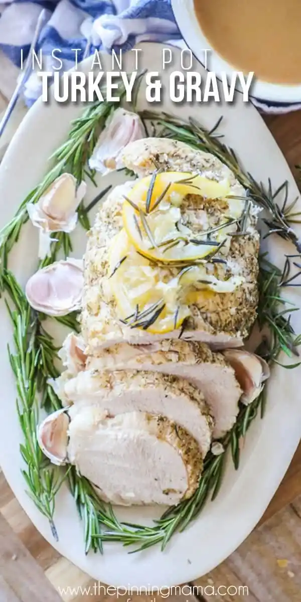 Instant Pot Turkey And Gravy