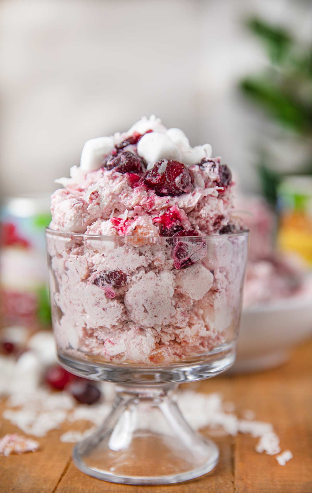 Creamy Cranberry Salad