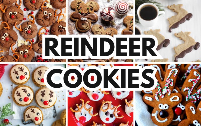 reindeer cookies