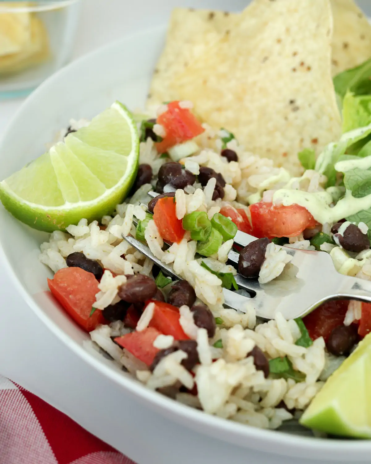 Black Bean And Rice Salad With Lime Dressing
