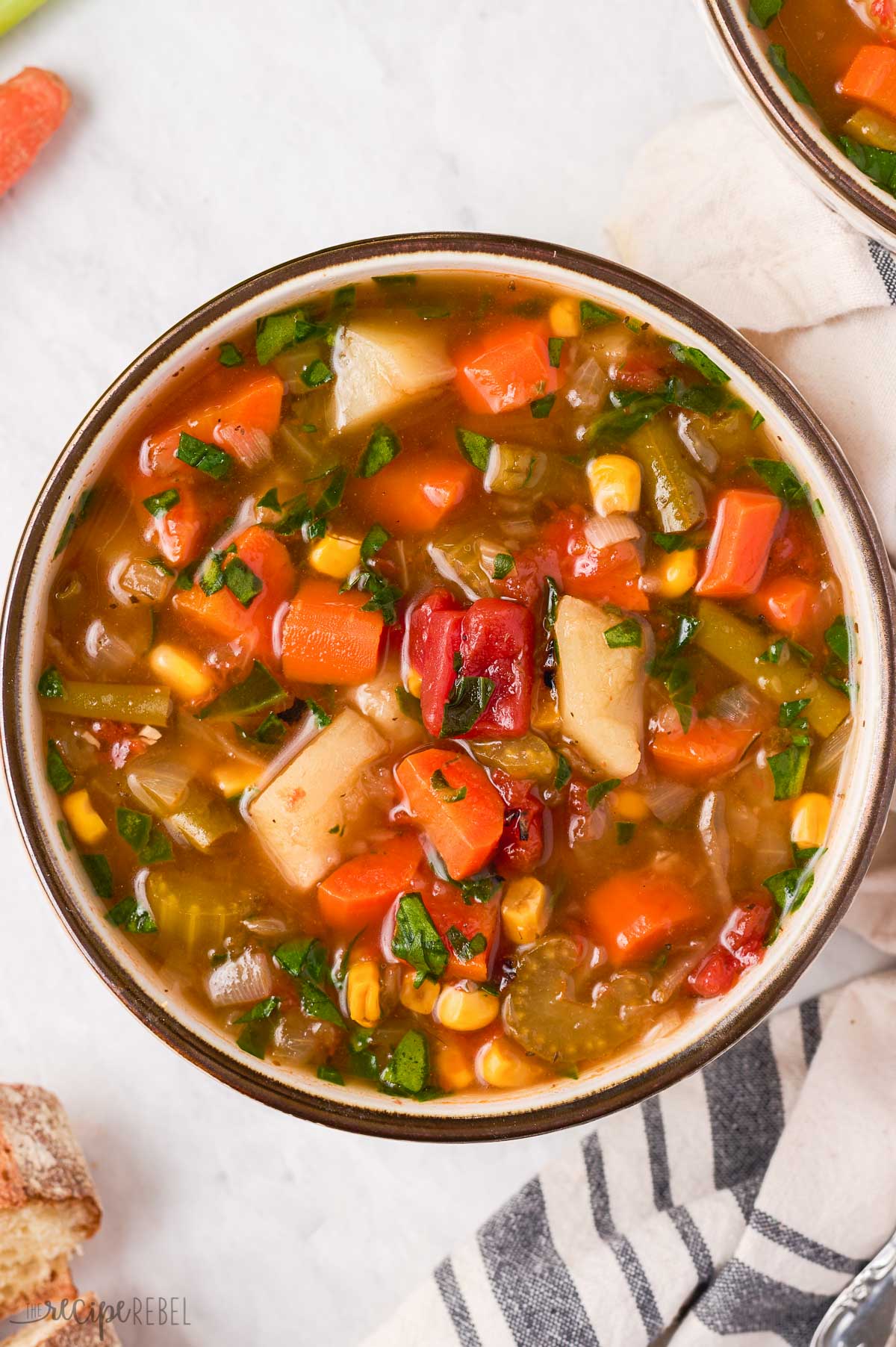 Instant Pot Vegetable Soup
