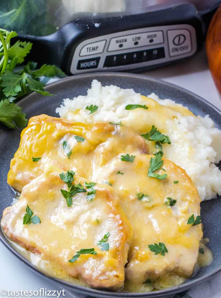 Slow Cooker Pork Chops And Gravy