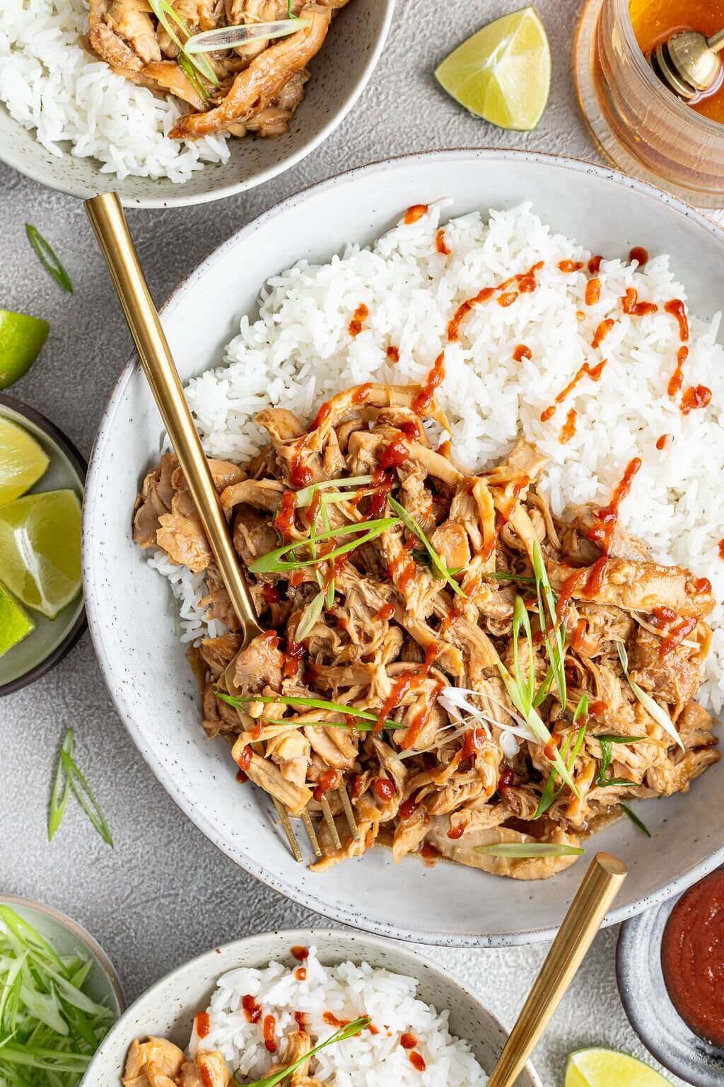 Slow Cooker Honey Garlic Chicken