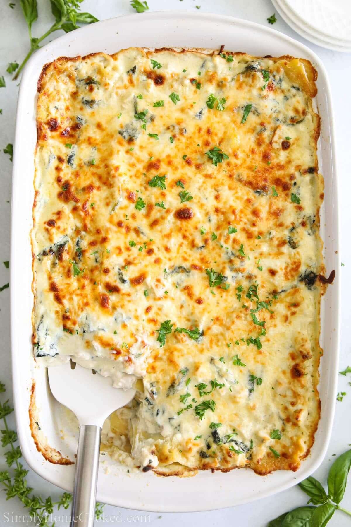 Chicken Alfredo Lasagna Recipe