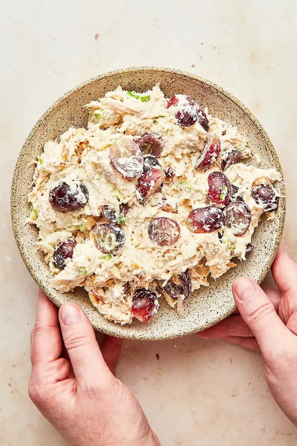 Shredded Chicken Salad