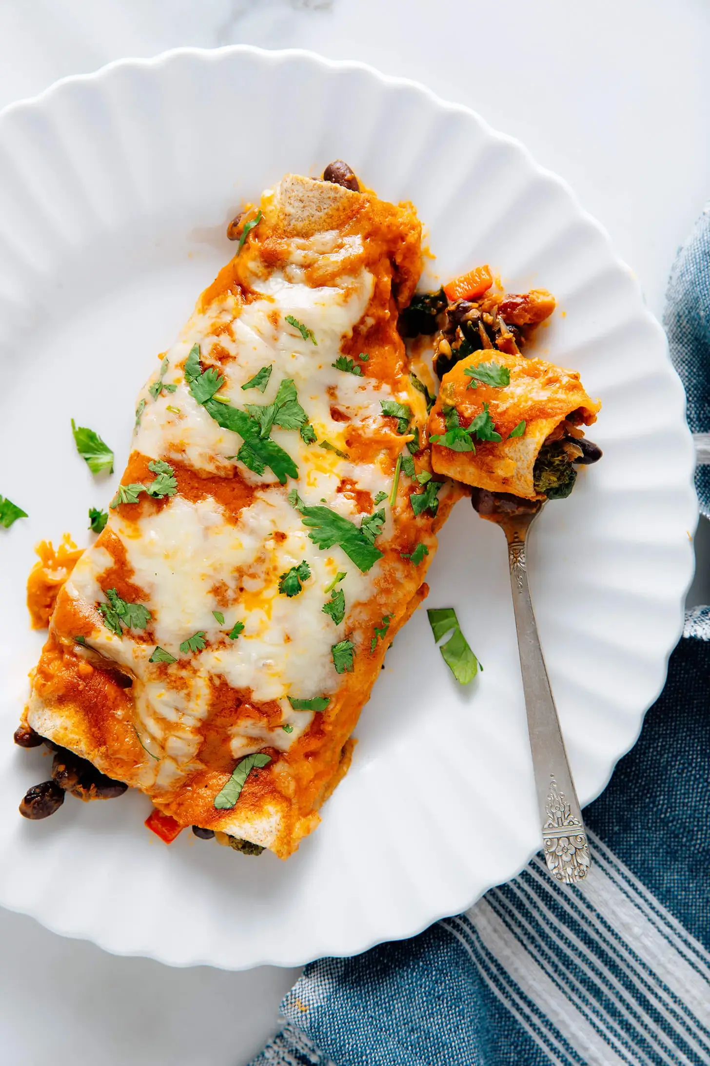 Veggie Black Bean Enchiladas