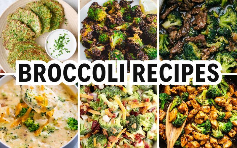 broccoli recipes