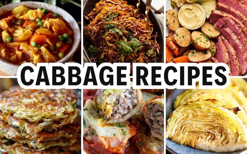 cabbage recipes