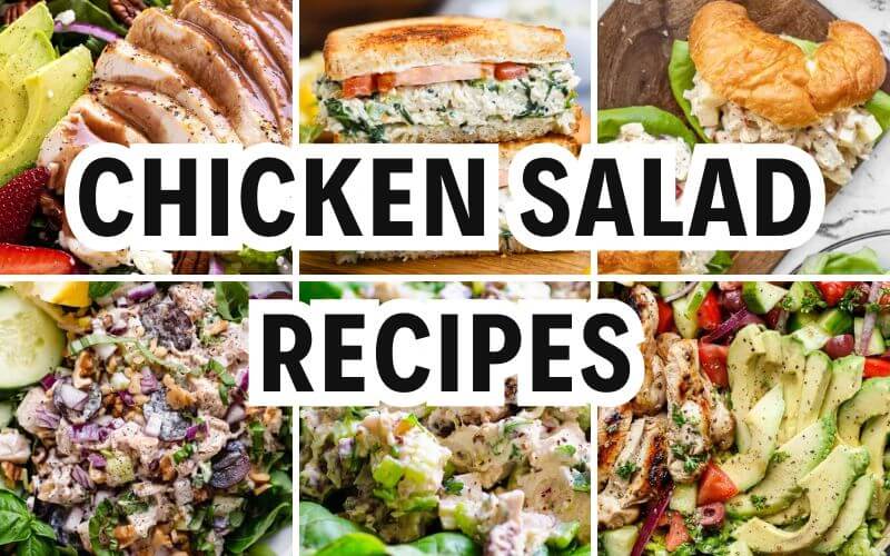 chicken salad recipes
