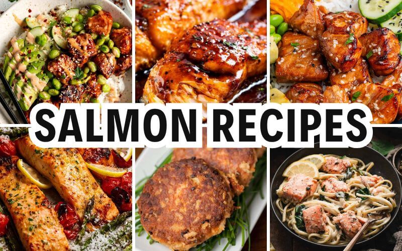 salmon recipes