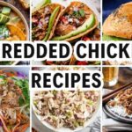 shredded chicken recipes
