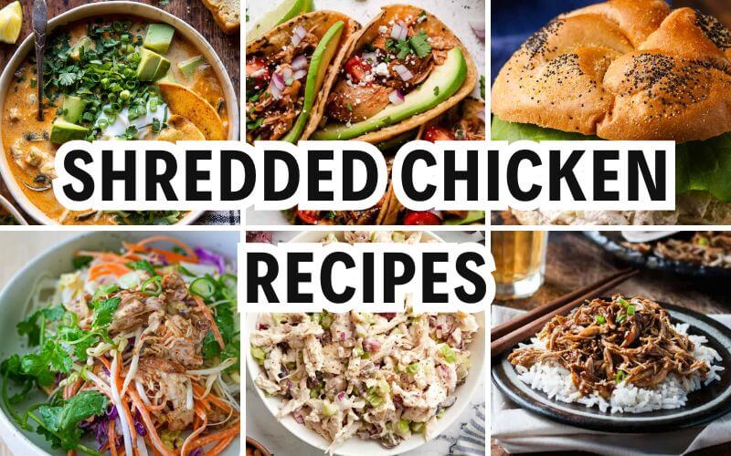 shredded chicken recipes