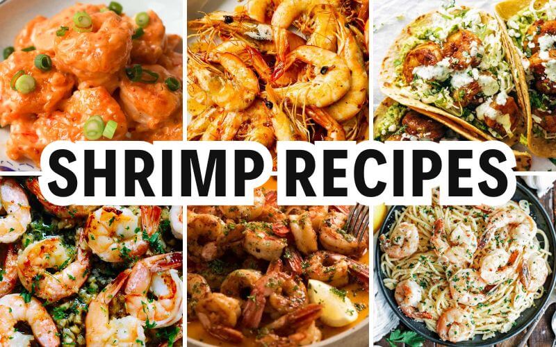 shrimp recipes