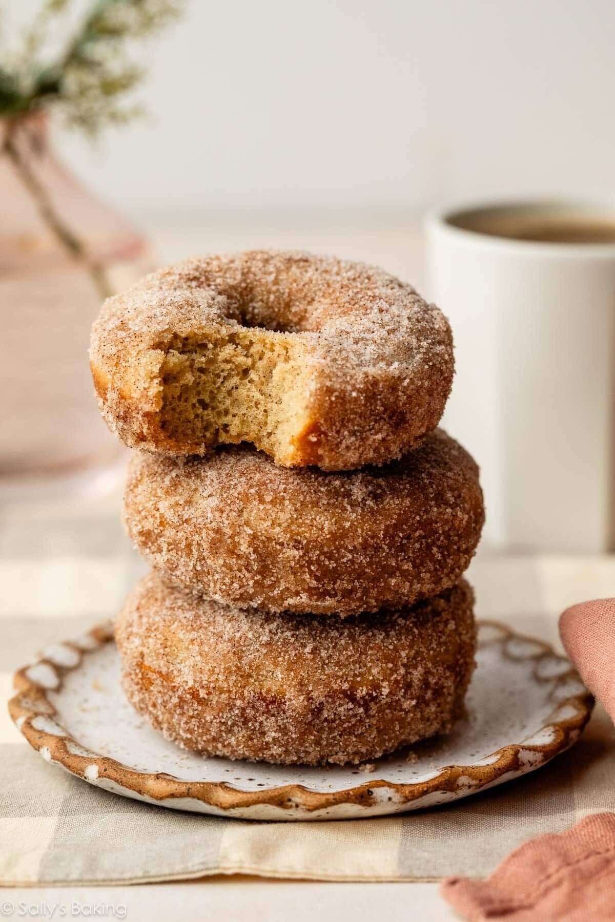 Baked Cinnamon Sugar Donuts
