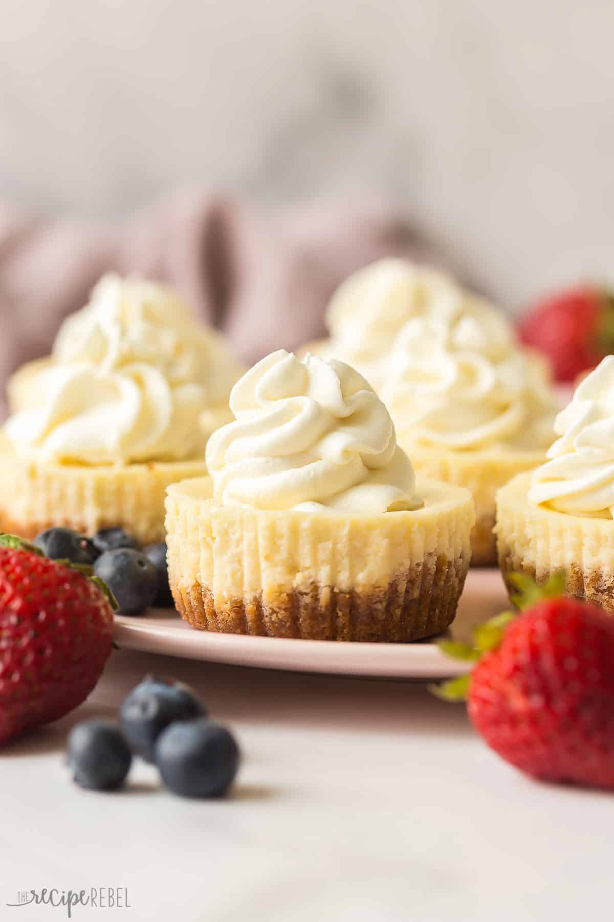 Easy Cheesecake Cupcakes