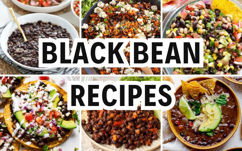 black bean recipes