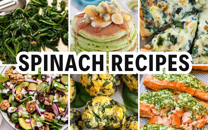 spinach recipes