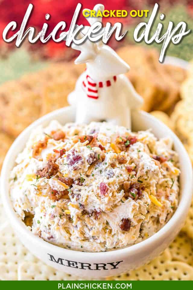 Cracked Out Chicken Dip