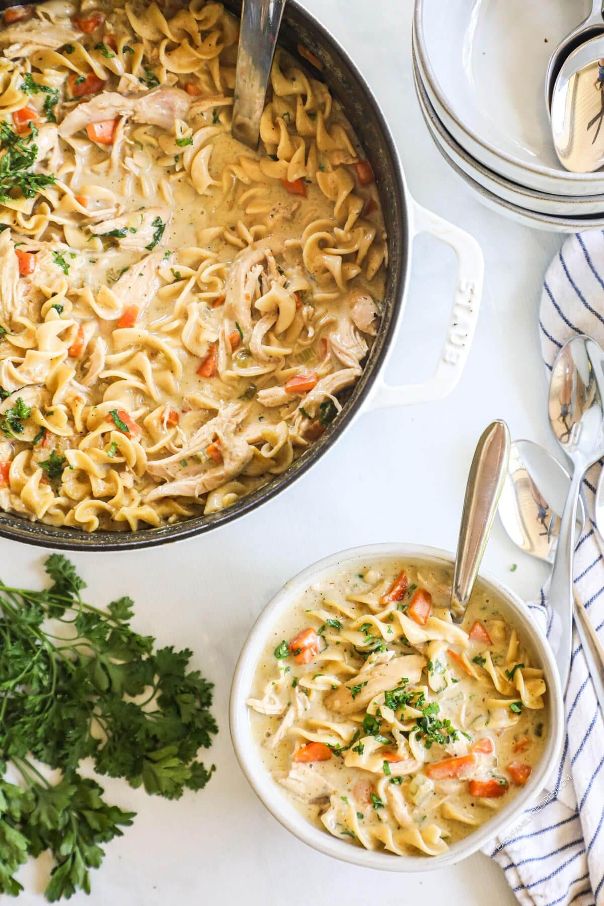 Creamy Chicken Noodle Soup