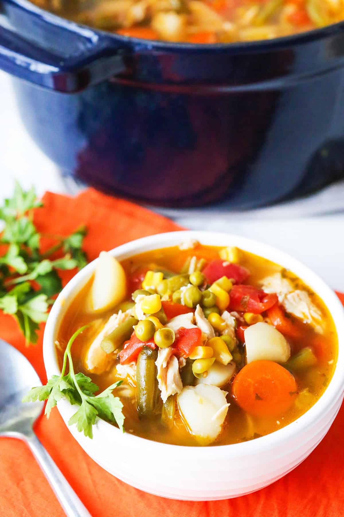 Easy Chicken Vegetable Soup Recipe (aka Pantry Soup)