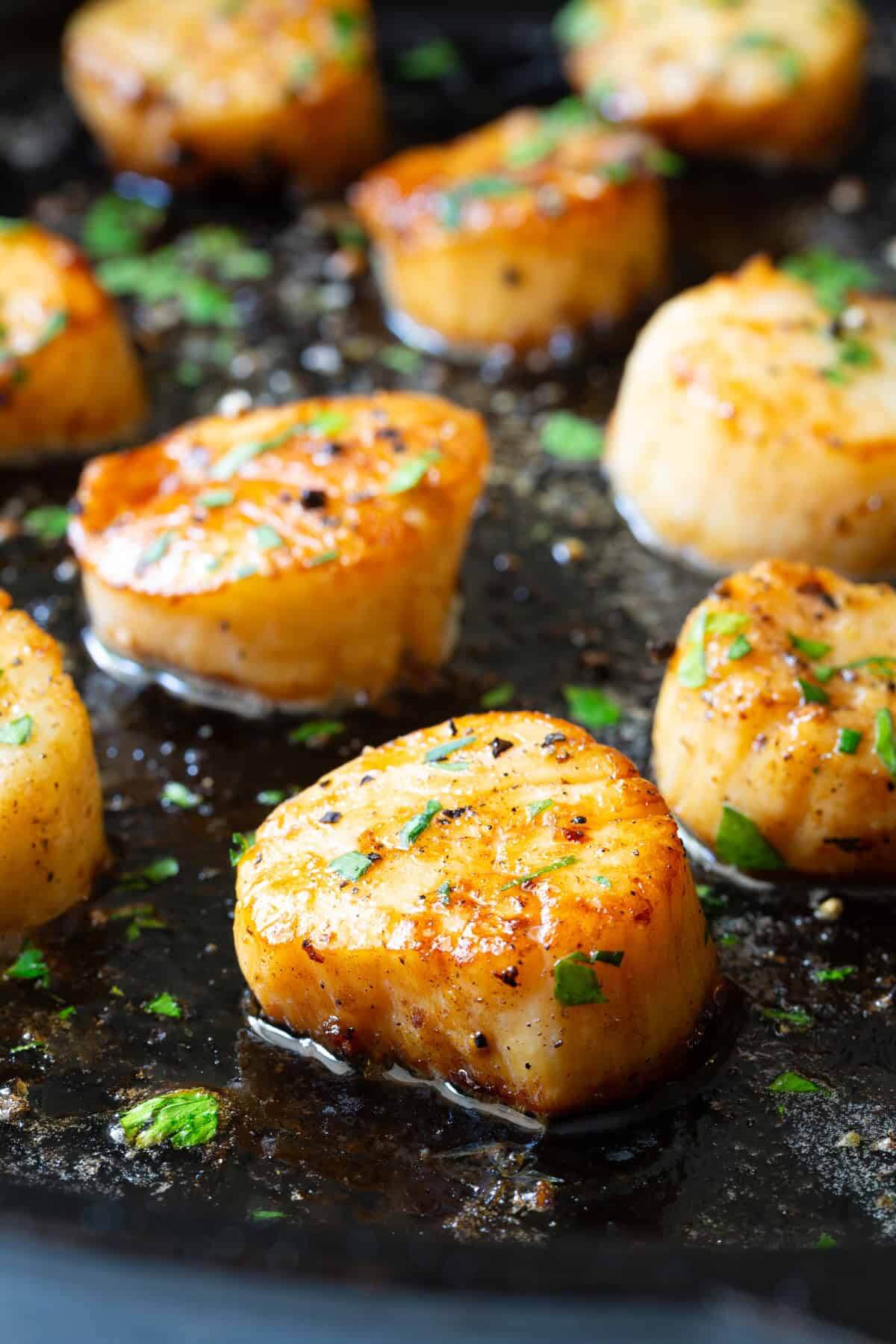 Scallop Scampi