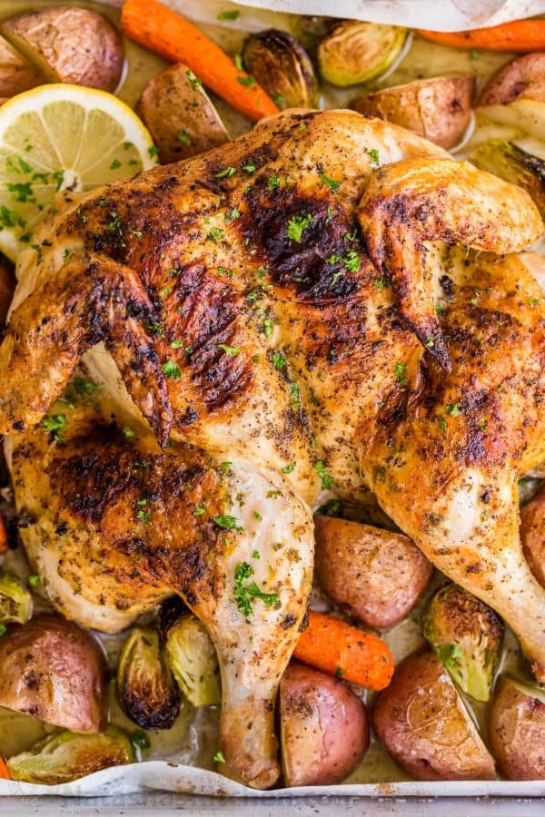 Spatchcock Chicken Recipe (VIDEO)