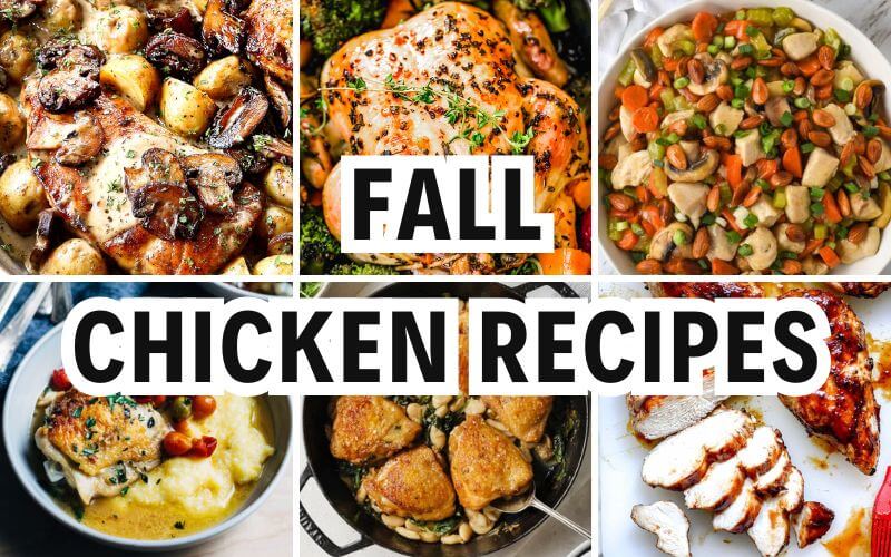 fall chicken recipes