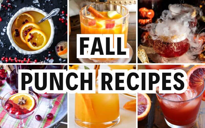 fall punch recipes
