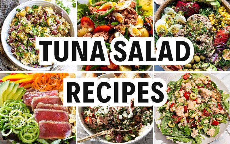 tuna salad recipes