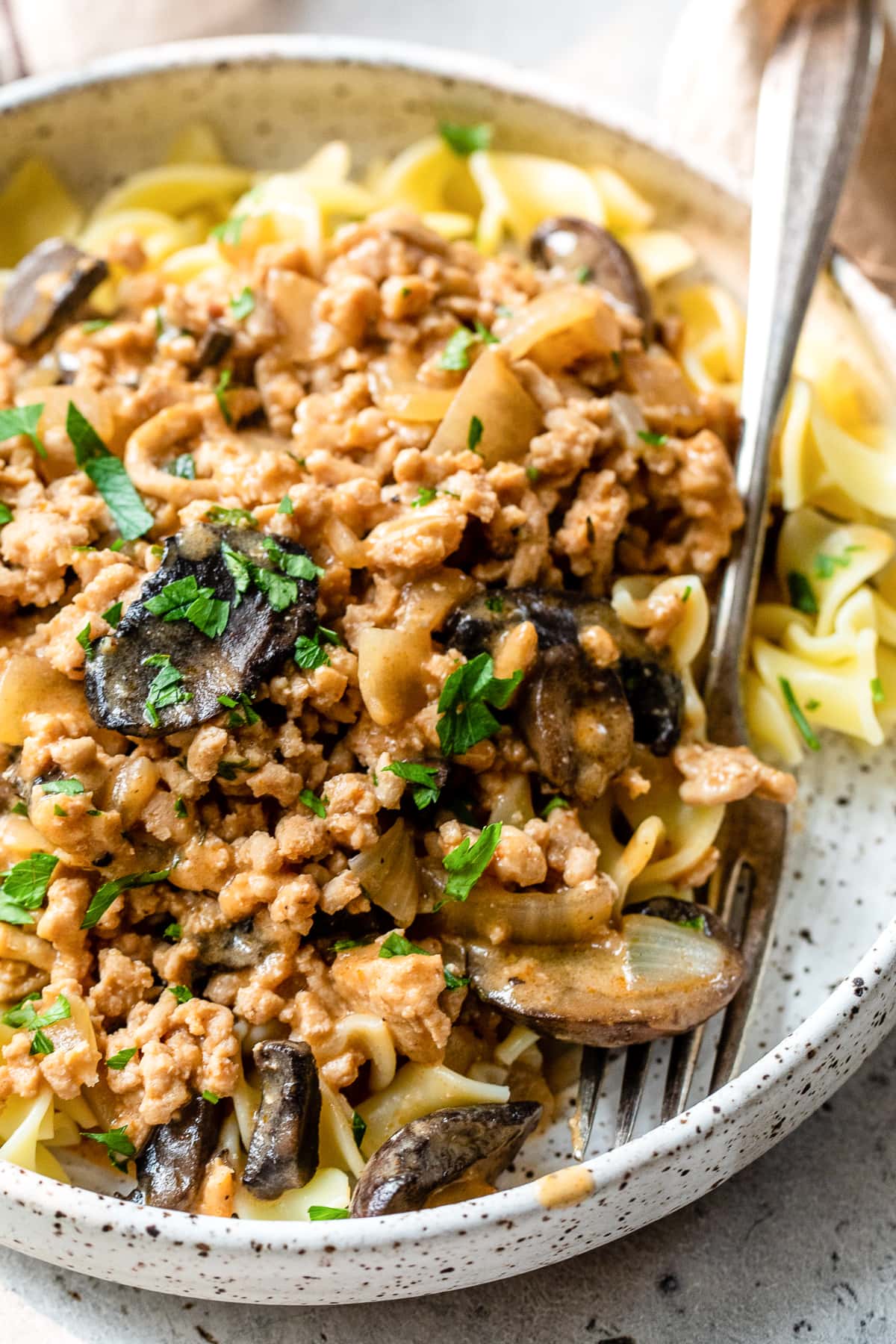 Chicken Stroganoff