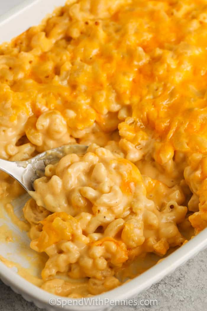 Homemade Mac and Cheese Casserole