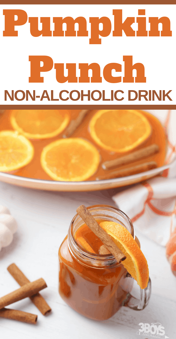 Non-Alcoholic Pumpkin Punch Recipe