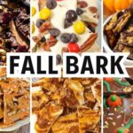 fall bark