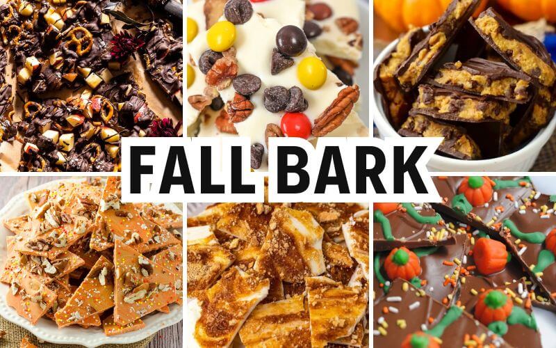 fall bark