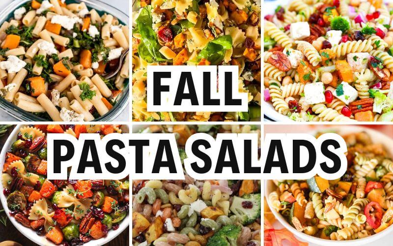 fall pasta salads