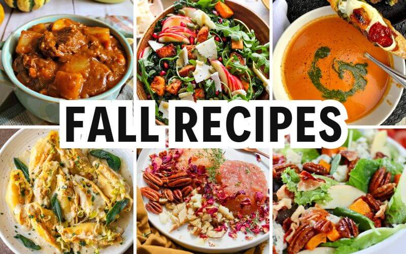 fall recipes