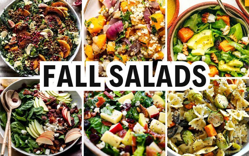 fall salads