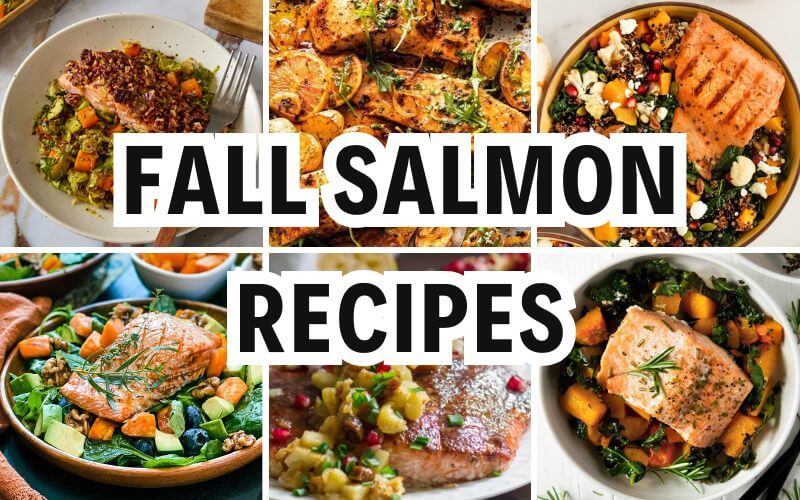 fall salmon recipes