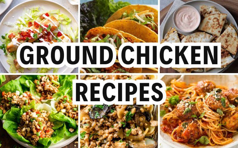 ground chicken recipes