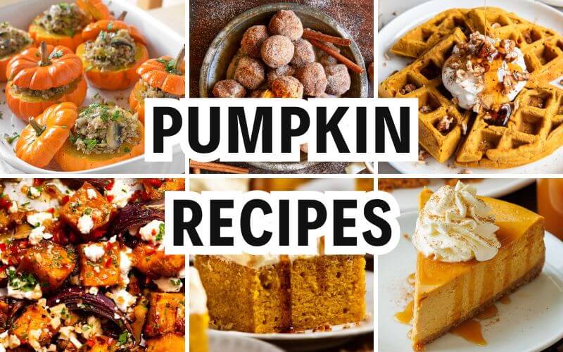pumpkin recipes
