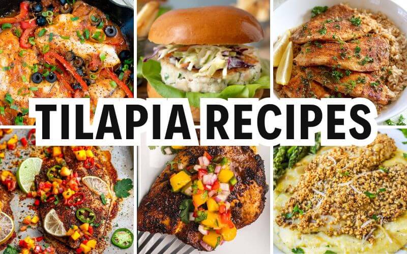 tilapia recipes